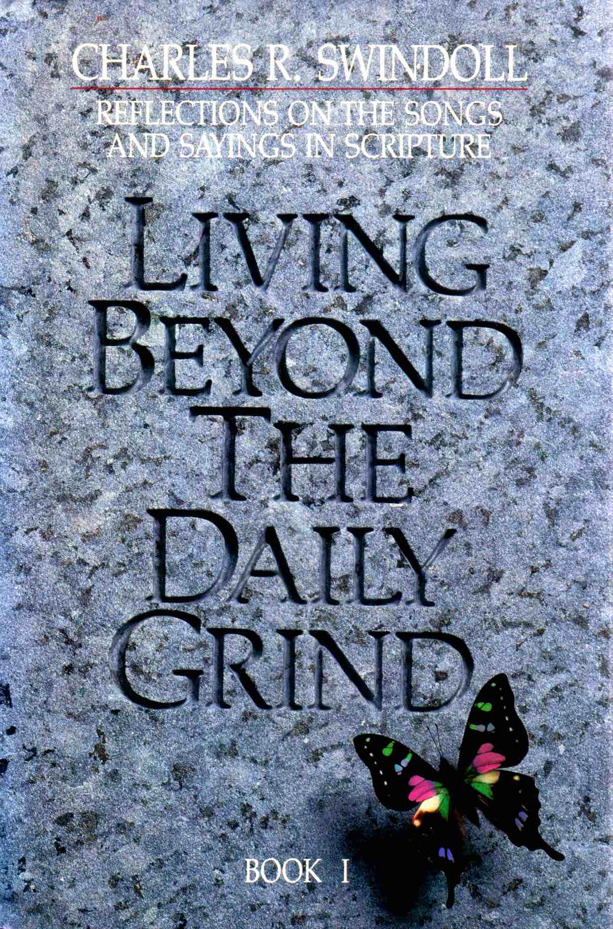 Cover of Living Beyond the Daily Grind Book 1