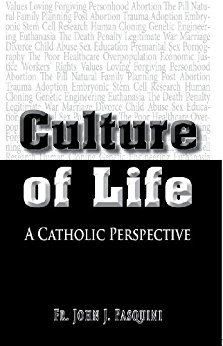Cover of Culture of Life - A Catholic Perspective