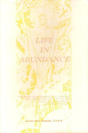 Cover of Life in Abundance