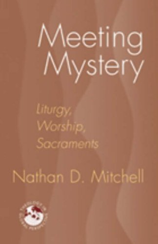 Cover of Meeting Mystery