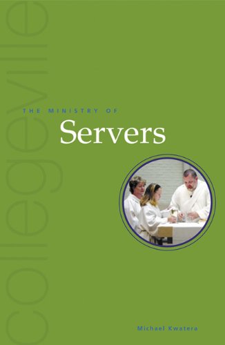 Cover of The Ministry Of Servers