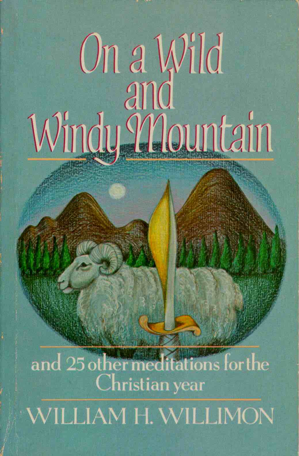 Cover of On a Wild and Windy Mountain