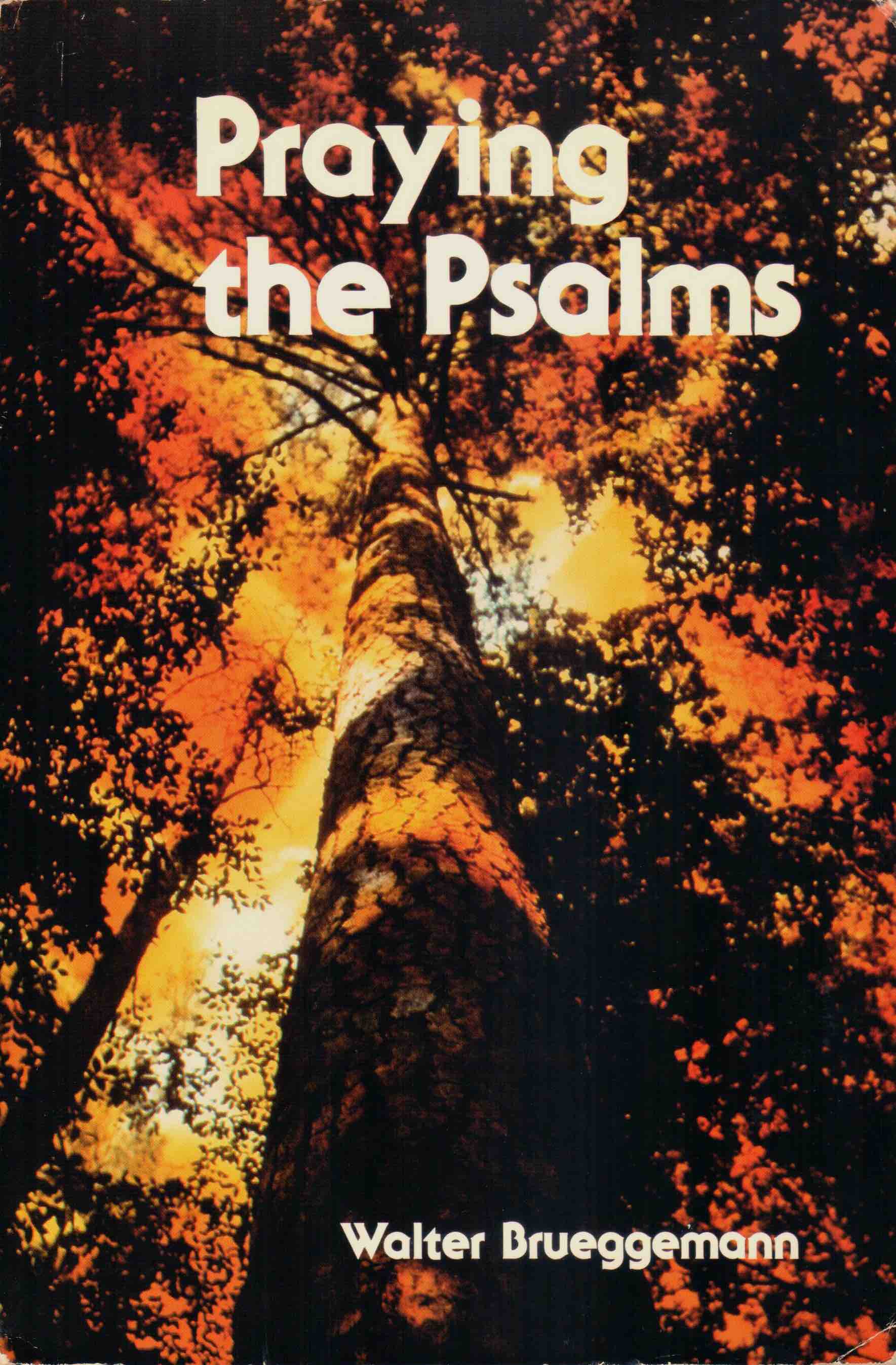 Cover of Praying the Psalms