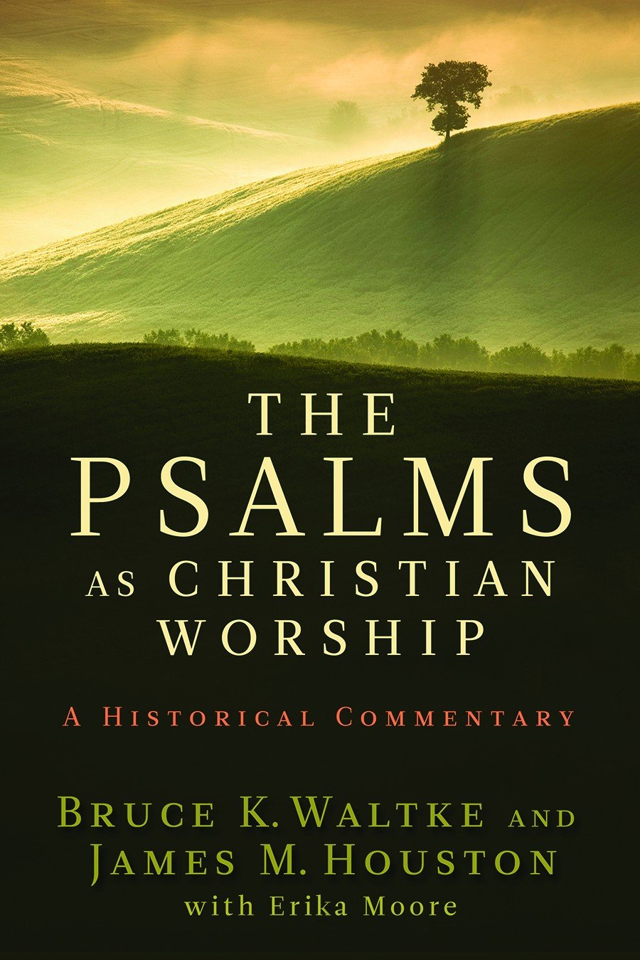 Cover of The Psalms as Christian Worship
