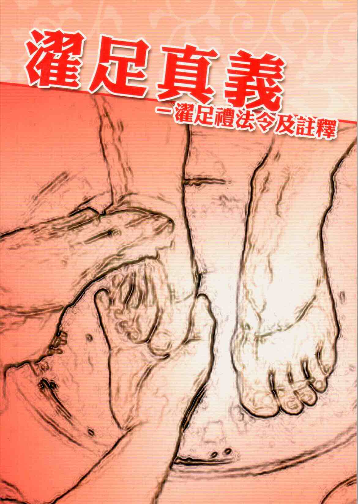 Cover of 濯足真義