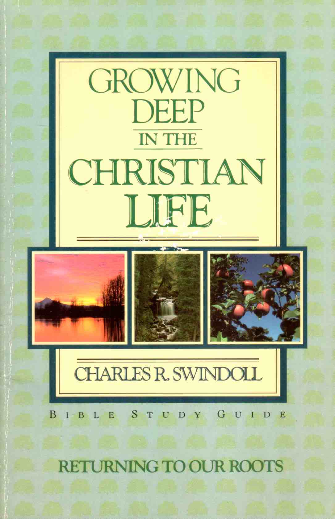 Cover of Growing Deep in the Christian Life