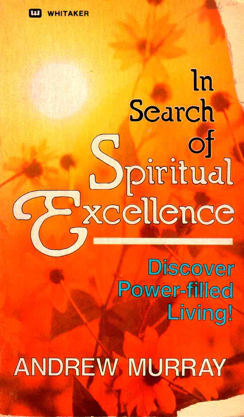 Cover of In Search of Spiritual Excellence