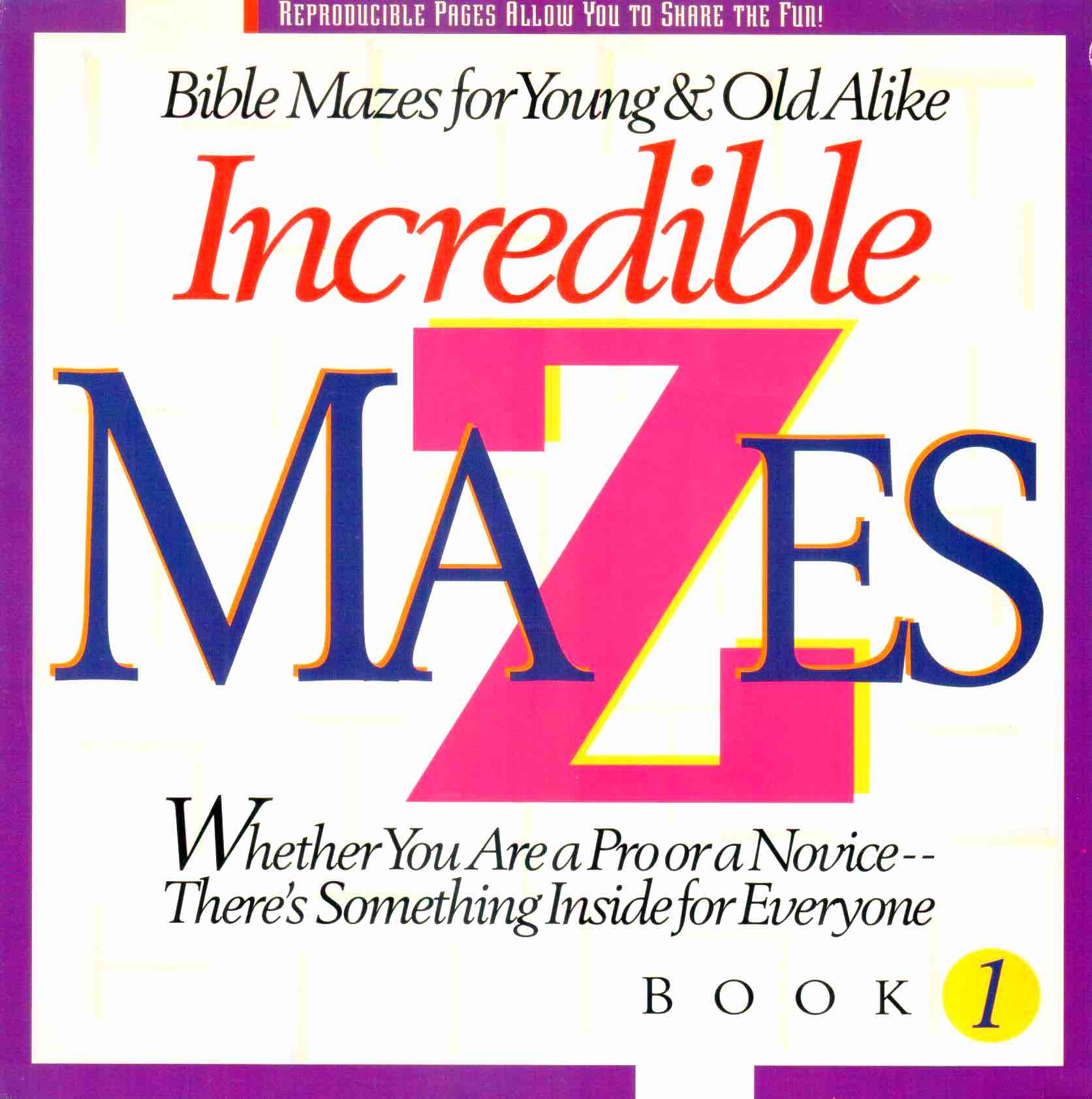 Cover of Incredible Mazes Book 1
