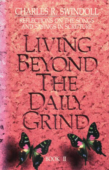 Cover of Living Beyond the Daily Grind Book II