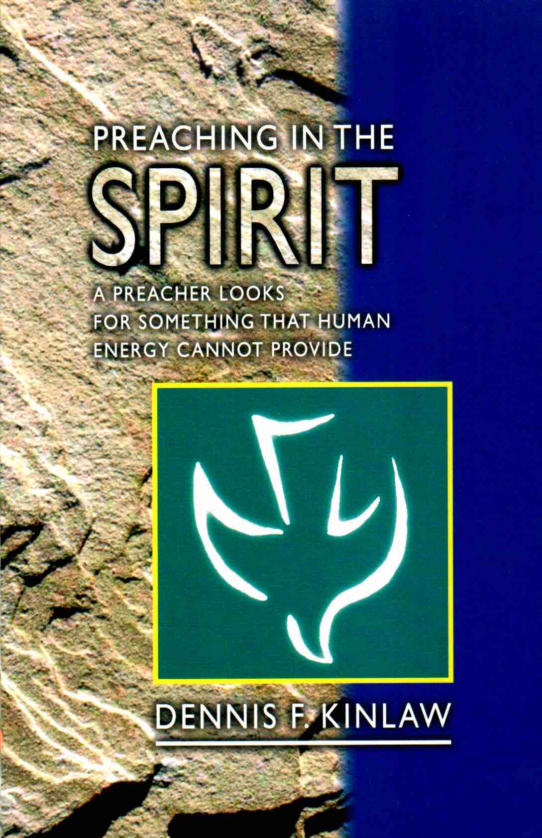 Cover of Preaching In The Spirit
