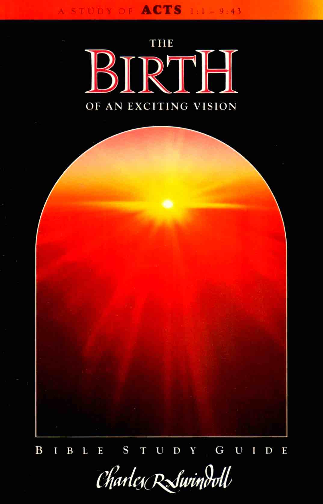 Cover of The Birth of an Exciting Vision