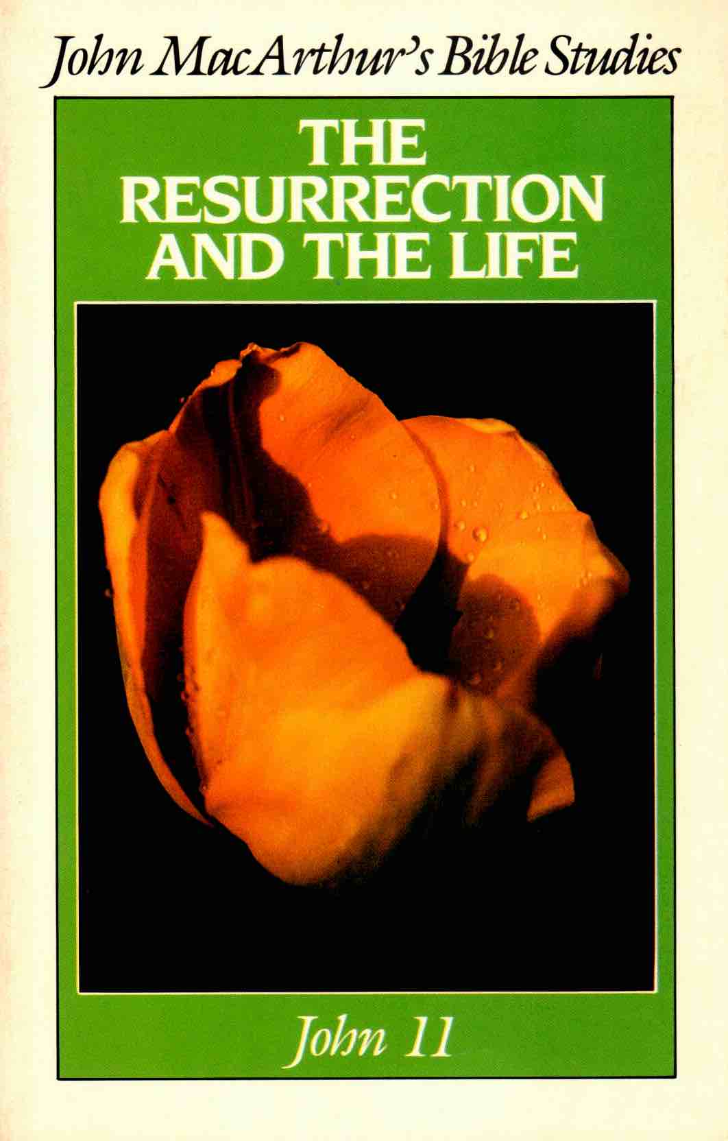 Cover of The Resurrection and the Life