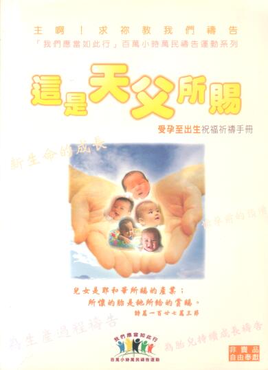 Cover of 這個是天父所賜 受孕至出生祝福祈禱手冊