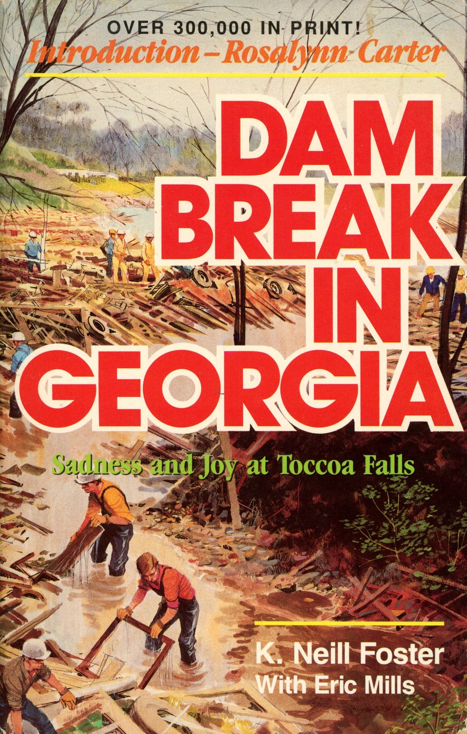 Cover of Dam Break in Georgia